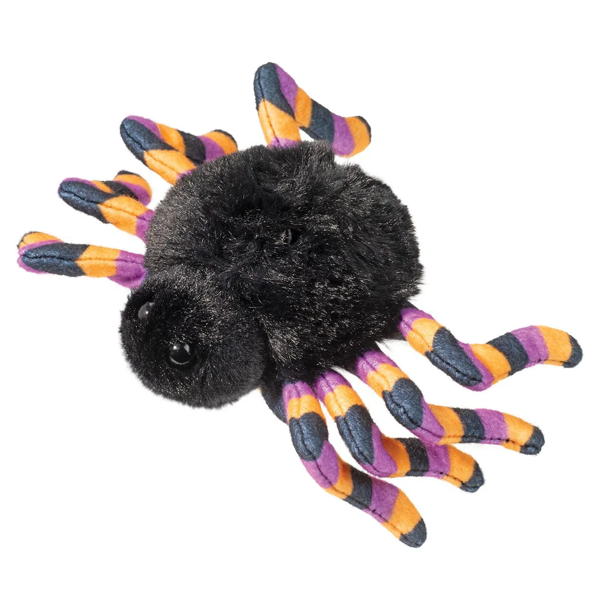 Douglas Spider with Striped Legs 6"