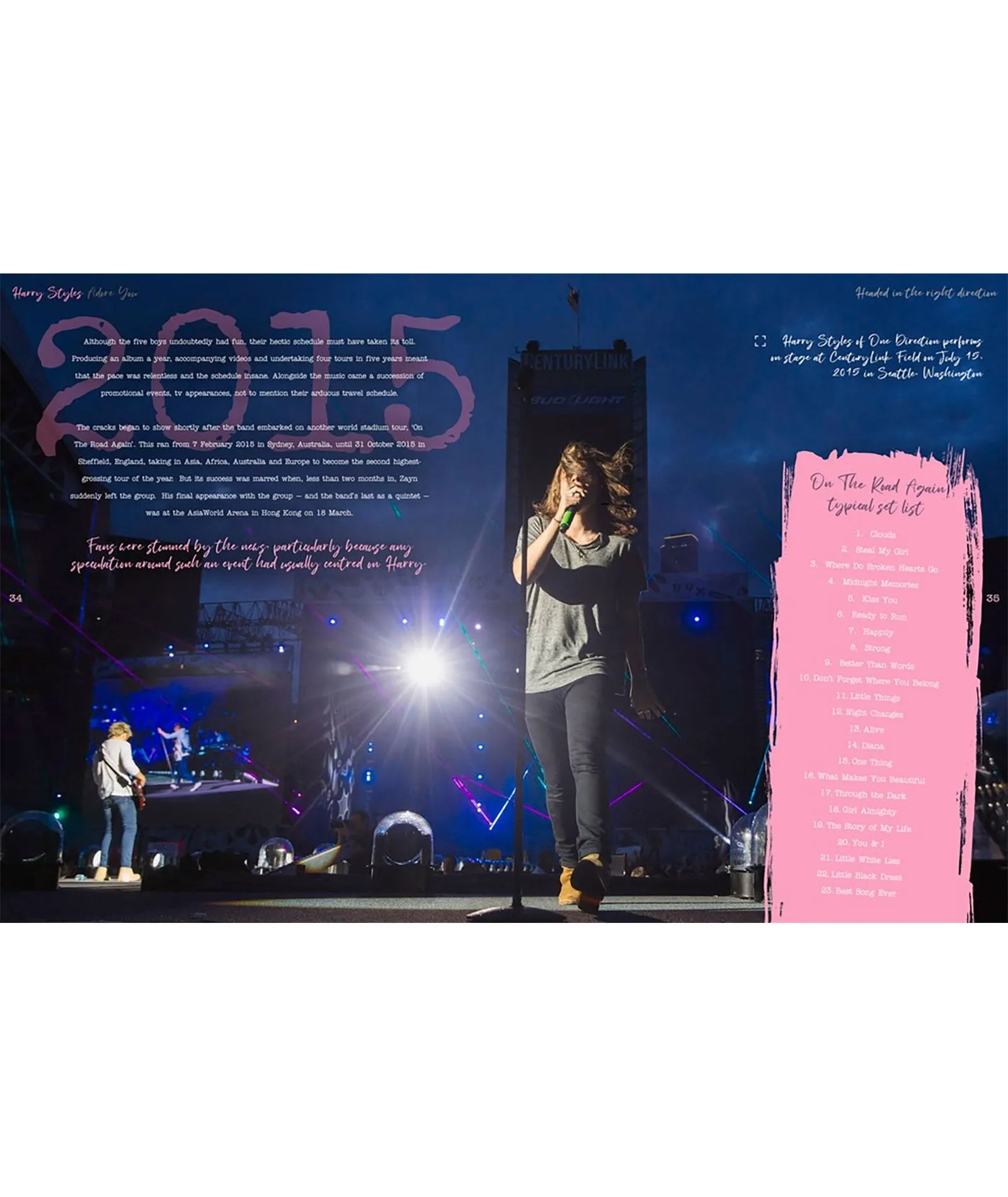 Harry Styles: Adore You The Illustrated Biography