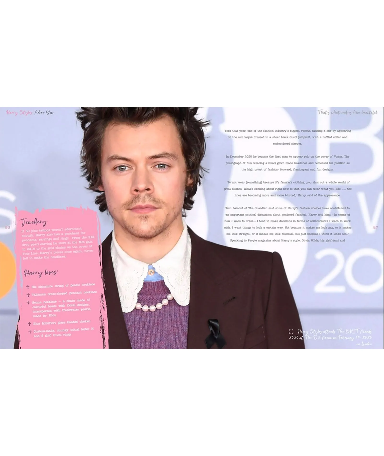 Harry Styles: Adore You The Illustrated Biography