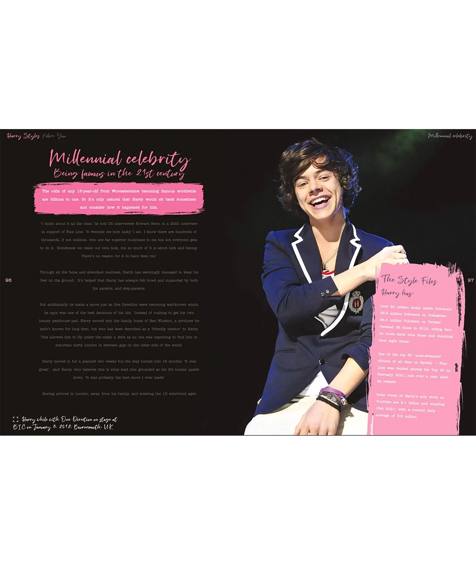 Harry Styles: Adore You The Illustrated Biography