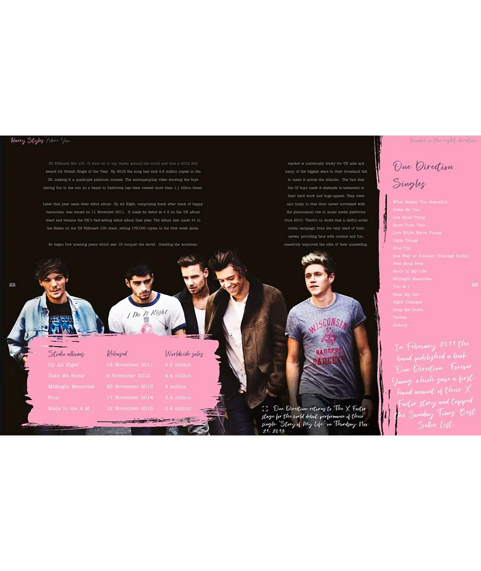 Harry Styles: Adore You The Illustrated Biography