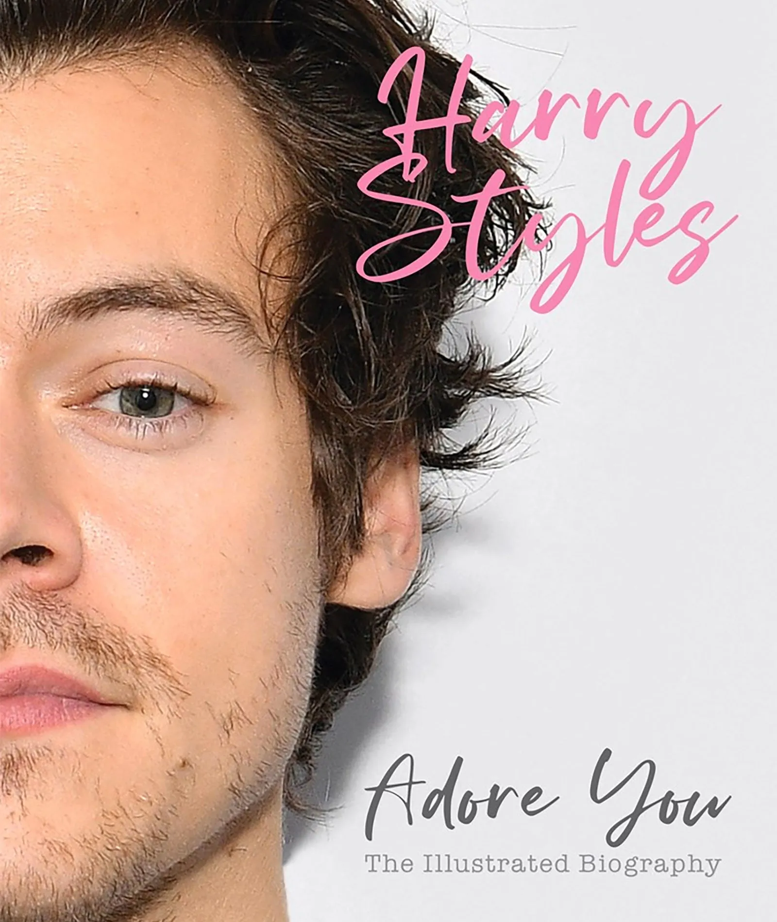 Harry Styles: Adore You The Illustrated Biography