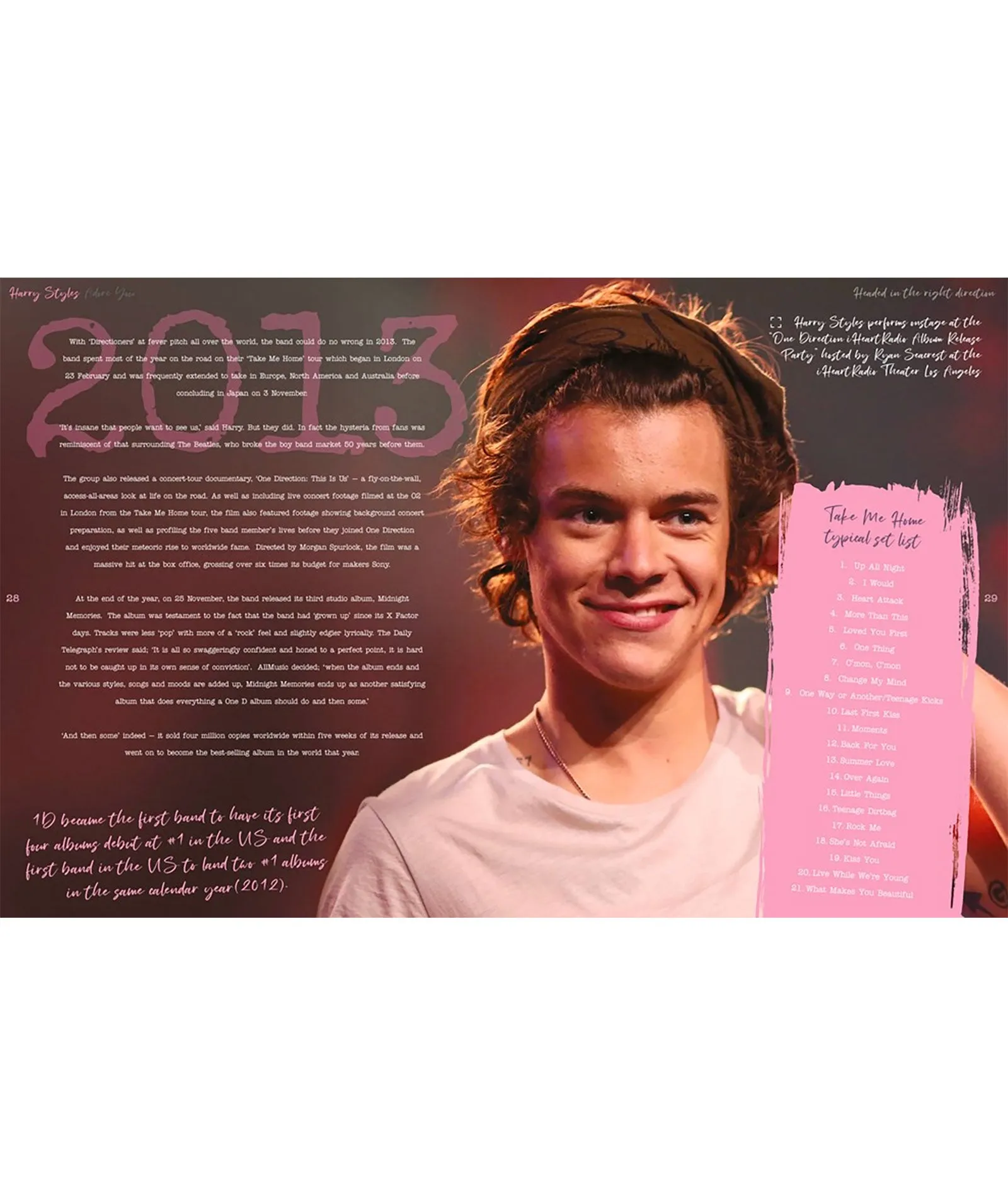 Harry Styles: Adore You The Illustrated Biography